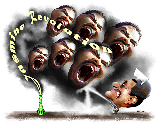 genie out of bottle as protesters in Egypt topple President Mubarak as part of Jasmine Revolution