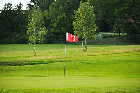 photograph of the 18th green at a golf course taken by Swedish photographer Per Pettersson and found on the Stock.XCHNG photo site