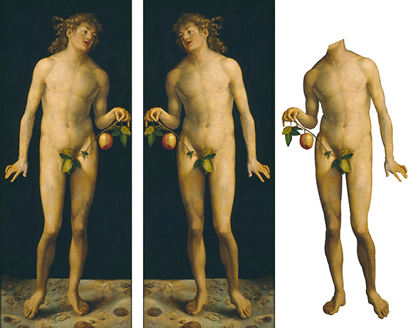 Wikimedia Commons image of "Adam," a painting by Albrecht Durer; image is now in public domain