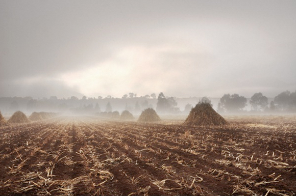 photo of cornfield used in photo illustration showing creepy scarecrow with noose and scythe in spooky foggy cornfield at night with moon