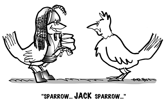 B&W cartoon showing two birds, with one dressed as Jack Sparrow, the movie pirate character