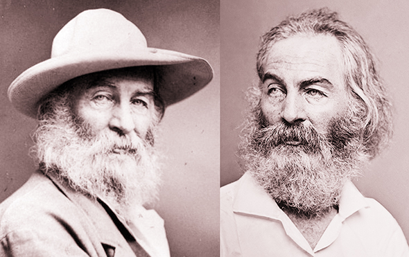 two photographs of famous American poet Walt Whitman showing him as an older man with a long white beard