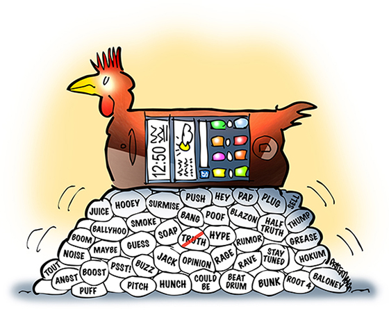 chicken as smartphone mobile phone with display screen sitting on pile of eggs representing rumor, innuendo, gossip, speculation, hearsay, and elusive truth, to show Twitter and social media not good at communicating facts