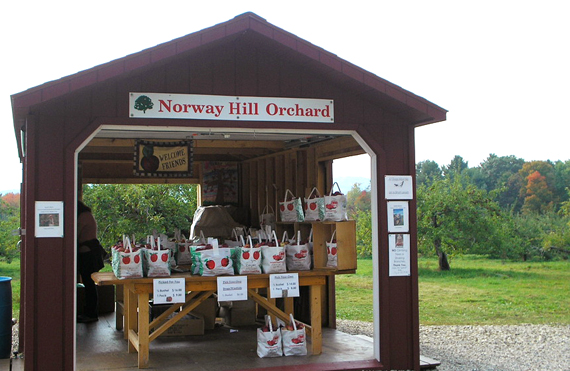 Norway Hill Orchard in Hancock, New Hampshire where you can buy ready picked apples or go out and pick your own apples