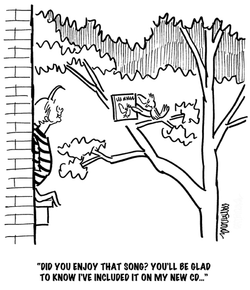 little bird in tree holding up compact disk to woman says song he just sang is on his new CD