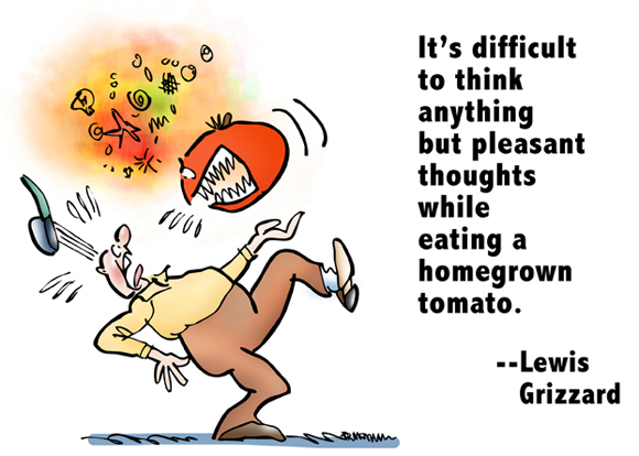 Man with killer tomato baring its teeth and swearing Lewis Grizzard quote about pleasant thoughts while eating homegrown tomato