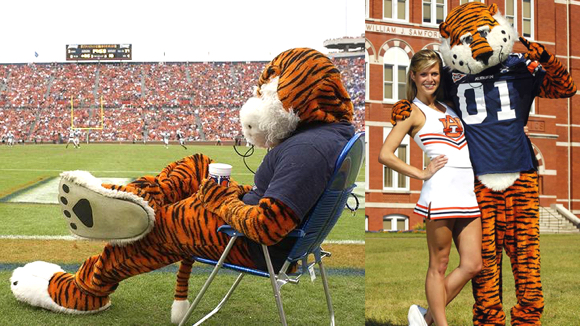 Auburn University mascot Aubie the Tiger watching football game and standing with cheerleader
