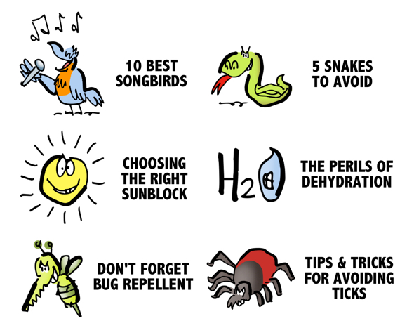 content marketing part of user experience 6 posts for birdwatcher shopping for seed songbirds snakes sunblock dehydration bug repellent avoid ticks