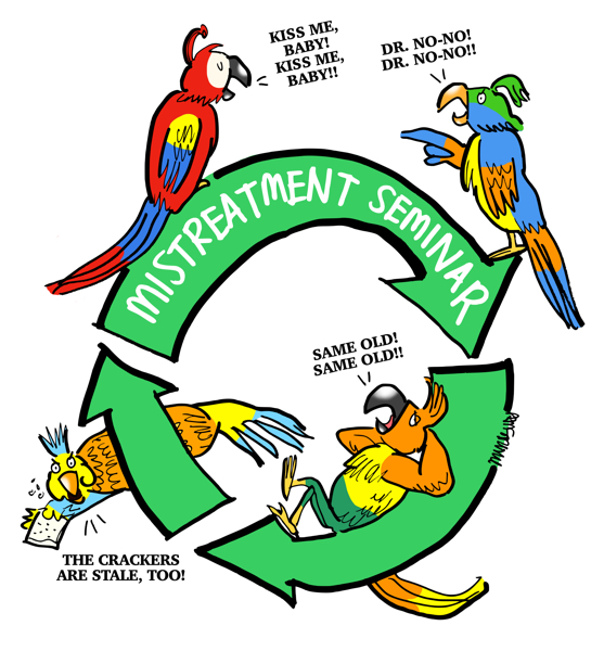 parrots recycling symbol same old discussions leading nowhere at medical mistreatment seminar