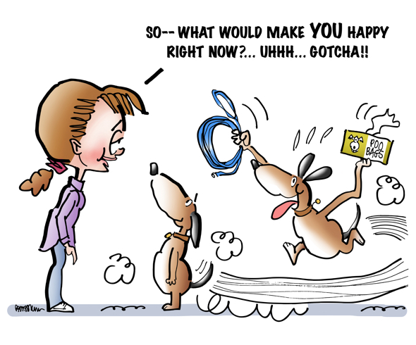 woman asking dog what would make him happy right now dog runs off brings back lease and plastic poop retrieval bags wants to go for walk