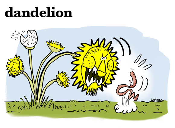 cartoon dandelion with lion face bending over to scare worm